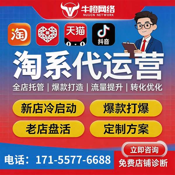 贵港电商代运营