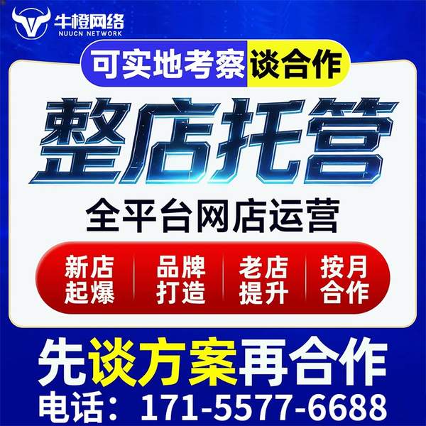 贵港电商代运营