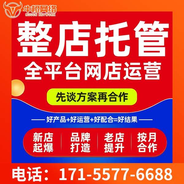 贵港电商代运营