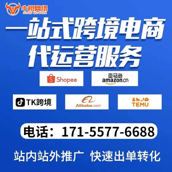 贵港电商代运营