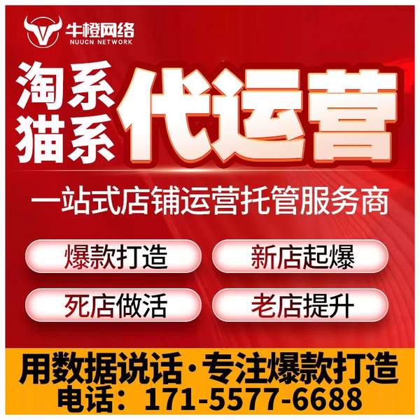 贵港电商代运营
